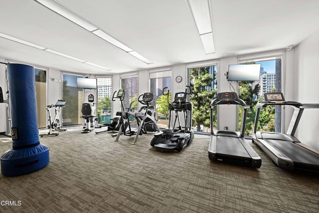 800 W 1st St Unit 1701, Los Angeles, CA 90012 - exercise room with a wall of windows, carpet flooring, and plenty of natural light
