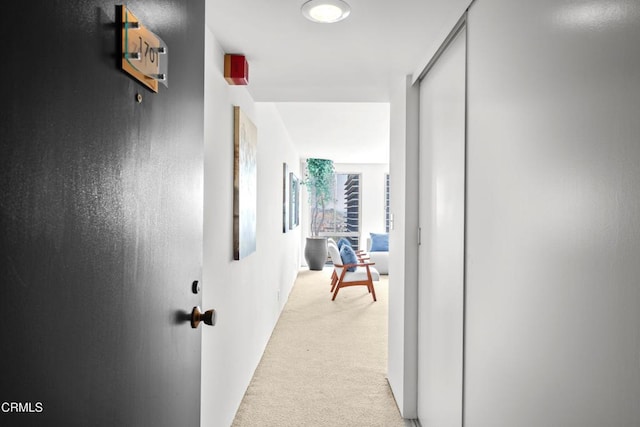800 W 1st St Unit 1701, Los Angeles, CA 90012 - corridor featuring light colored carpet