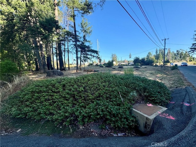 14105 Creston Rd, Magalia, CA 95954 - photo 4