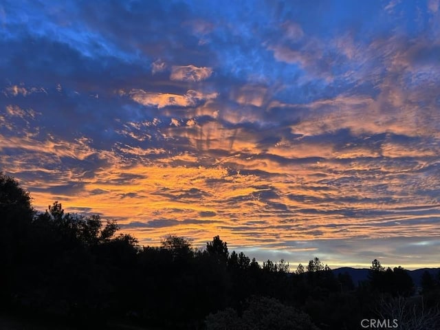 45337 Valley Oak Dr, Ahwahnee, CA 93601 - view of undeveloped land