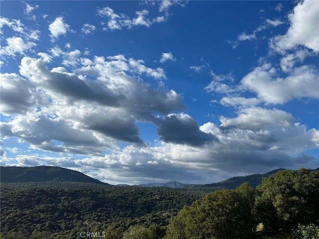 45337 Valley Oak Dr, Ahwahnee, CA 93601 - view of mountain backdrop featuring a forest