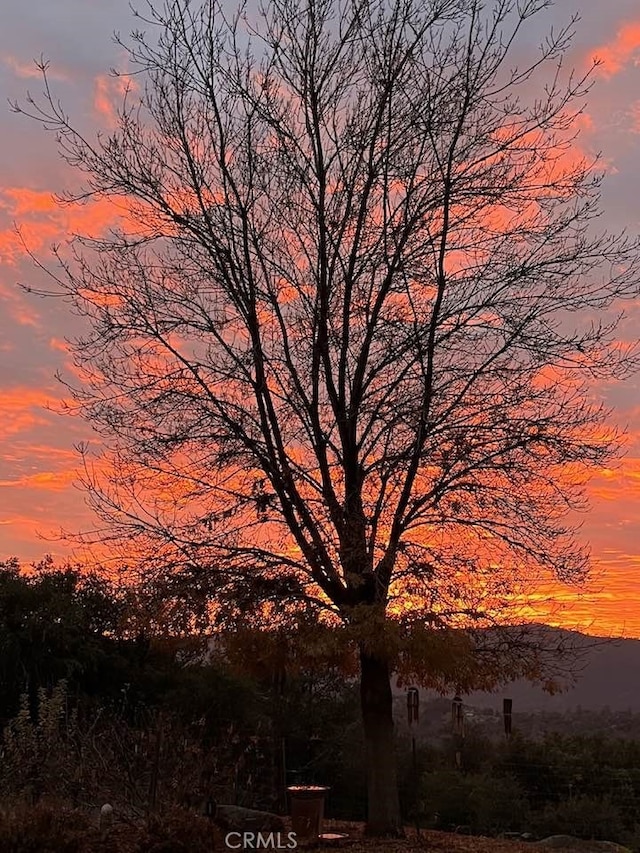 45337 Valley Oak Dr, Ahwahnee, CA 93601 - view of nature at dusk