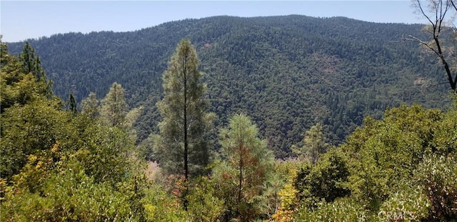 0 Lumberjack Rd, Oroville, CA 95965 - photo 7