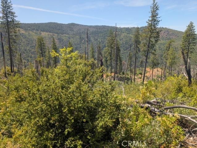 0 Lumberjack Rd, Oroville, CA 95965 - photo 11