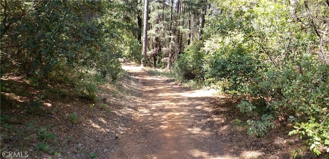 0 Lumberjack Rd, Oroville, CA 95965 - photo 5