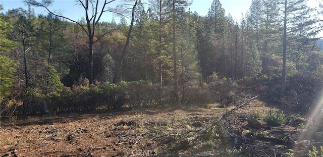 0 Lumberjack Rd, Oroville, CA 95965 - photo 10