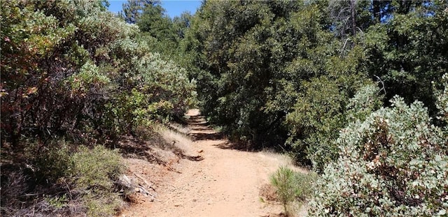 0 Lumberjack Rd, Oroville, CA 95965 - photo 4