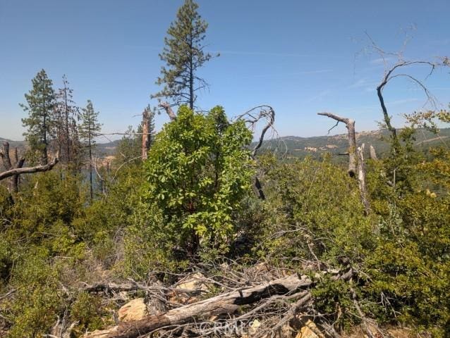 0 Lumberjack Rd, Oroville, CA 95965 - photo 12