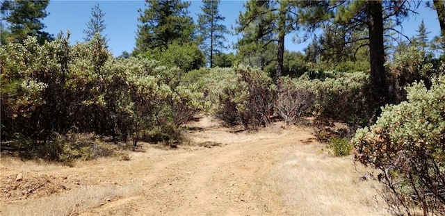 0 Lumberjack Rd, Oroville, CA 95965 - photo 3