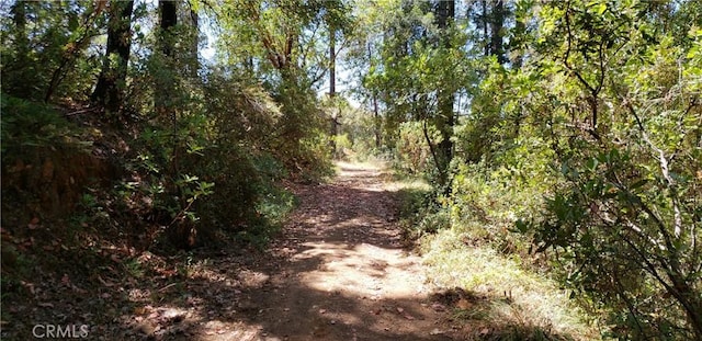 0 Lumberjack Rd, Oroville, CA 95965 - photo 6