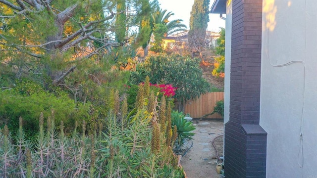 1682 Saddlehorn Dr, San Marcos, CA 92069 - view of yard