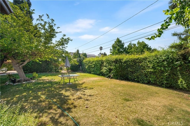 4421 N Sunflower Ave, Covina, CA 91724 - photo 32