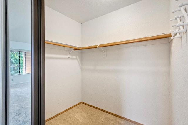 4015 Canario St Unit E, Carlsbad, CA 92008 - walk in closet with light colored carpet