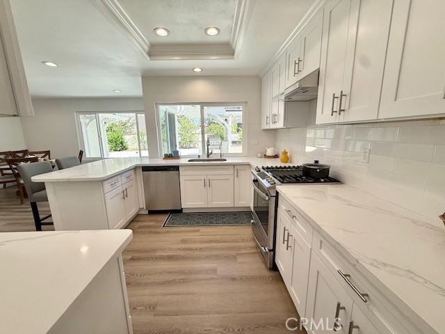 16413 Abascal Dr, Hacienda Heights, CA 91745 - kitchen with appliances with stainless steel finishes, a raised ceiling, plenty of natural light, crown molding, and under cabinet range hood