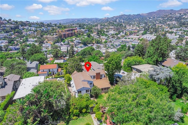 2536 Micheltorena St, Los Angeles, CA 90039 - photo 53