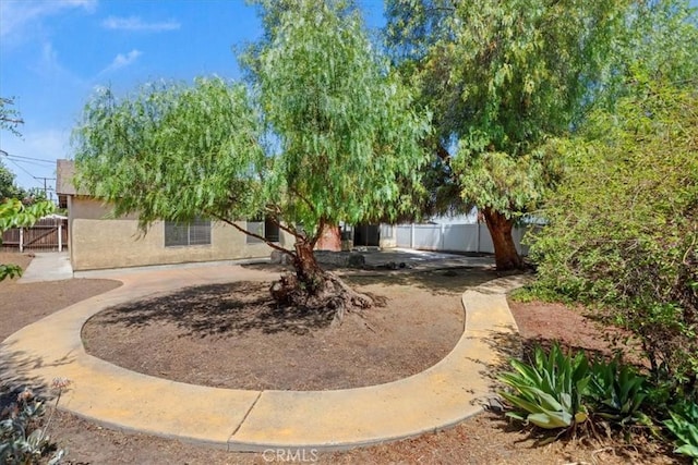 1897 Taylor Ave, Corona, CA 92882 - view of yard