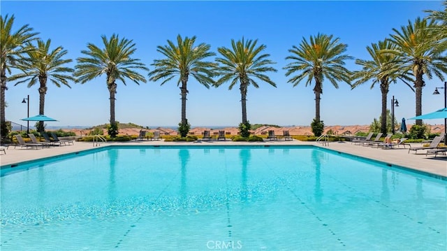 103 Winnett, Irvine, CA 92602 - community pool featuring a patio