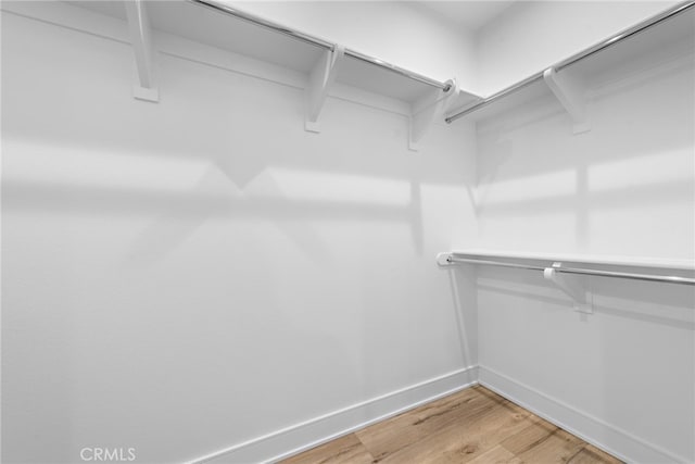 103 Winnett, Irvine, CA 92602 - walk in closet with light wood-style floors