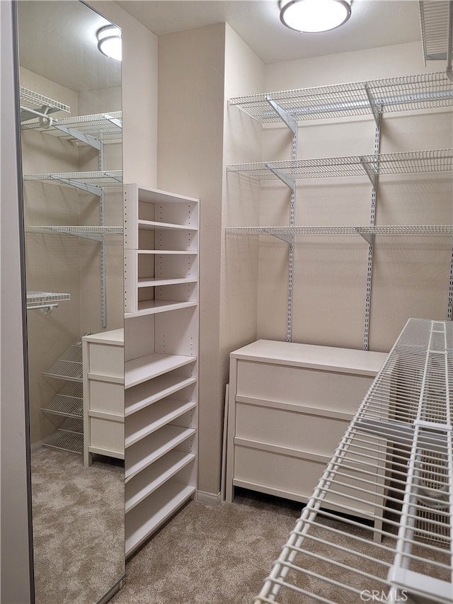 10840 New Salem Pt, San Diego, CA 92126 - walk in closet featuring carpet floors