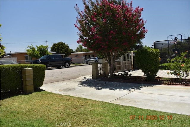 1331 Bothwell Ave, Colton, CA 92324 - view of yard