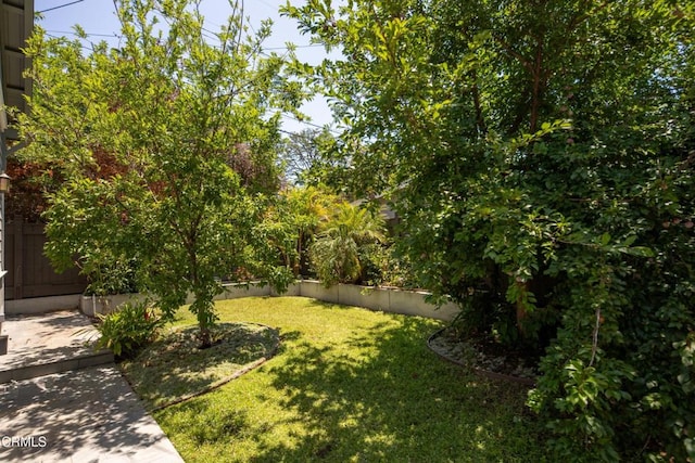 5512 Ranchito Ave, Sherman Oaks, CA 91401 - view of yard