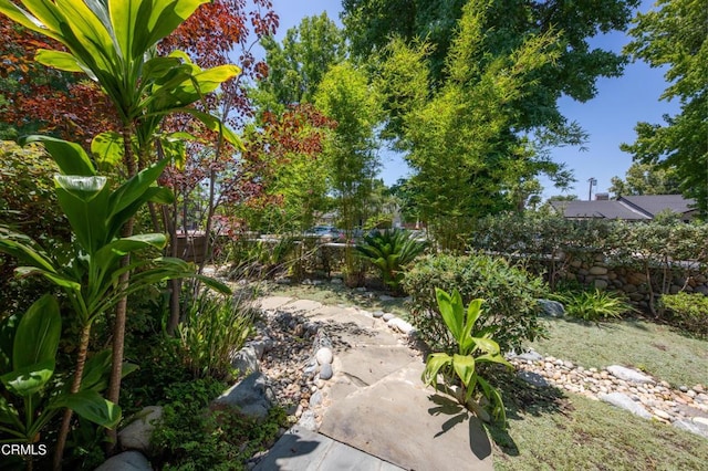 5512 Ranchito Ave, Sherman Oaks, CA 91401 - view of yard