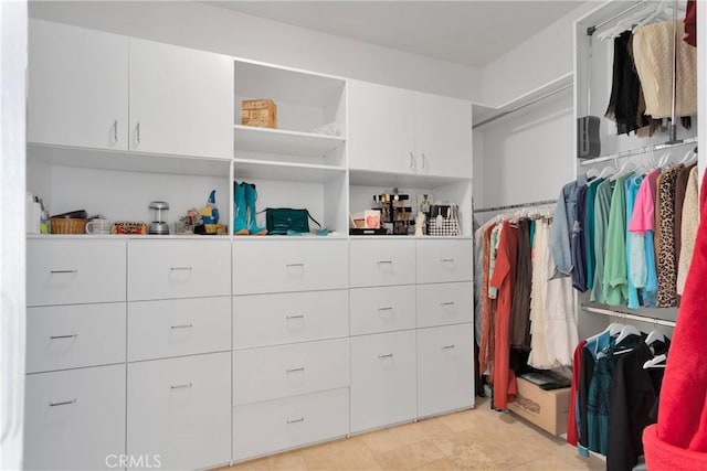 10844 Aster Ln, Apple Valley, CA 92308 - view of walk in closet