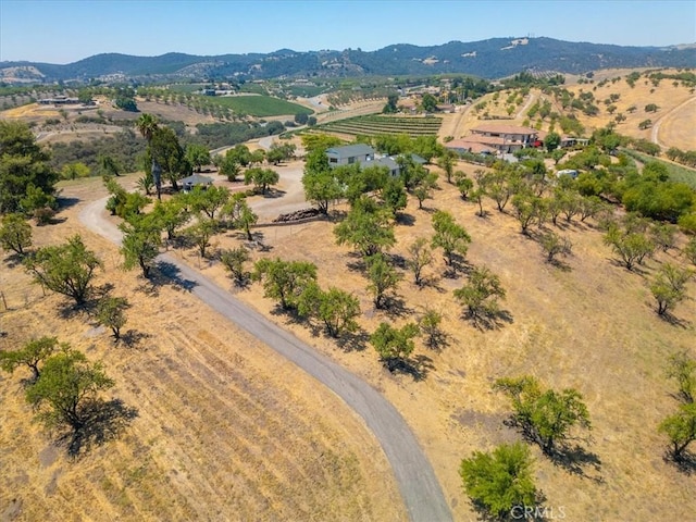 375 Villa Lots Rd, Paso Robles, CA 93446 - photo 57