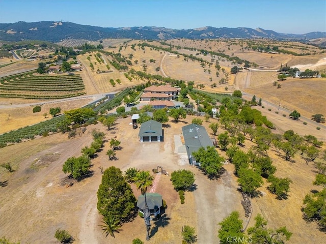 375 Villa Lots Rd, Paso Robles, CA 93446 - photo 52