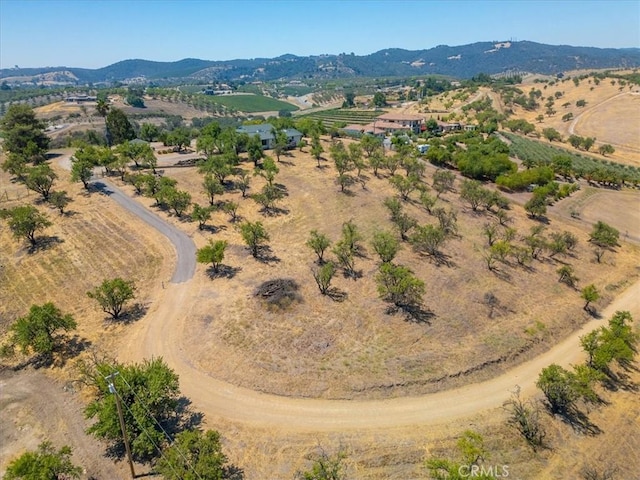 375 Villa Lots Rd, Paso Robles, CA 93446 - photo 58