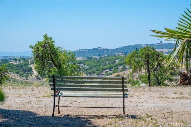 375 Villa Lots Rd, Paso Robles, CA 93446 - photo 47