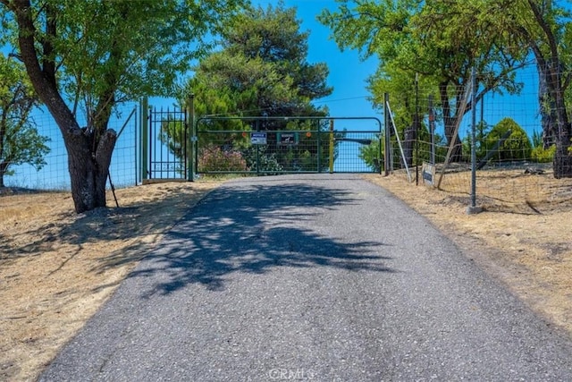 375 Villa Lots Rd, Paso Robles, CA 93446 - photo 9