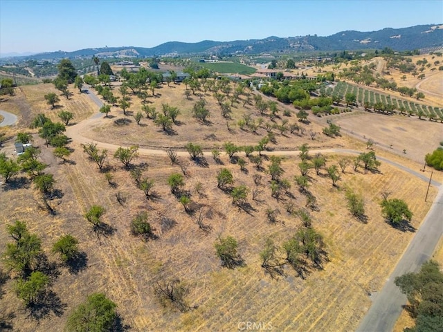375 Villa Lots Rd, Paso Robles, CA 93446 - photo 59