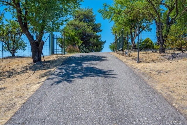 375 Villa Lots Rd, Paso Robles, CA 93446 - photo 8