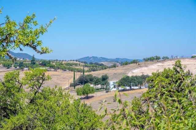 375 Villa Lots Rd, Paso Robles, CA 93446 - photo 36