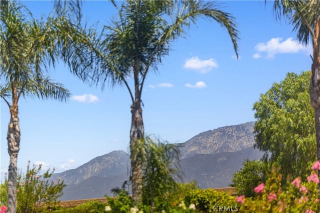 12420 Silk Oak Ct, Rancho Cucamonga, CA 91739 - photo 33