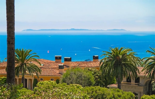 22 Pelican Crest Dr, Newport Coast, CA 92657 - photo 60