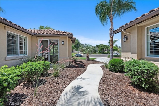 41798 Aviv Ct, Murrieta, CA 92562 - view of yard
