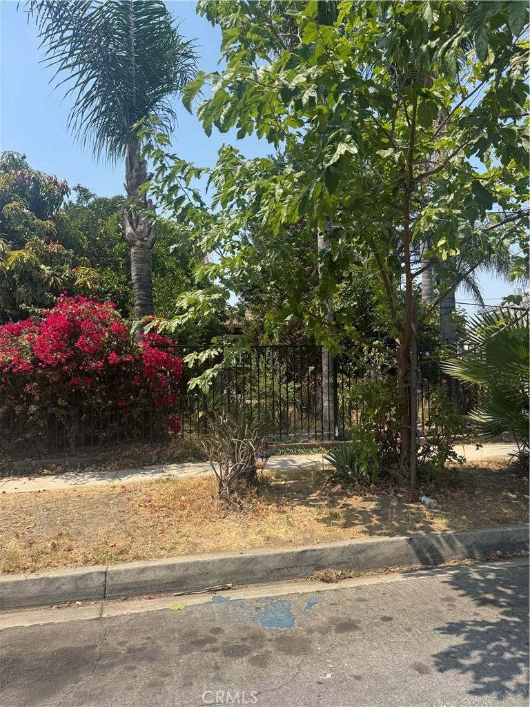 9542 Holbrook St, Pico Rivera, CA 90660 - view of yard