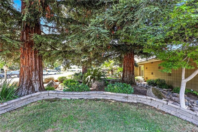 1011 Wyoming Dr, Merced, CA 95340 - photo 47