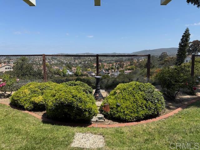 1633 Willowspring Dr N, Encinitas, CA 92024 - view of yard