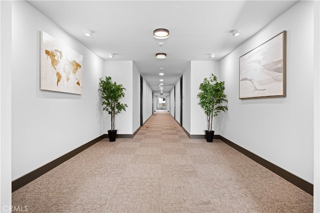 709 E Walnut St Unit 219, Pasadena, CA 91101 - photo 8
