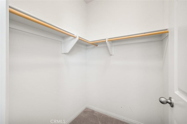 28419 Sunflower St, Highland, CA 92346 - walk in closet featuring carpet