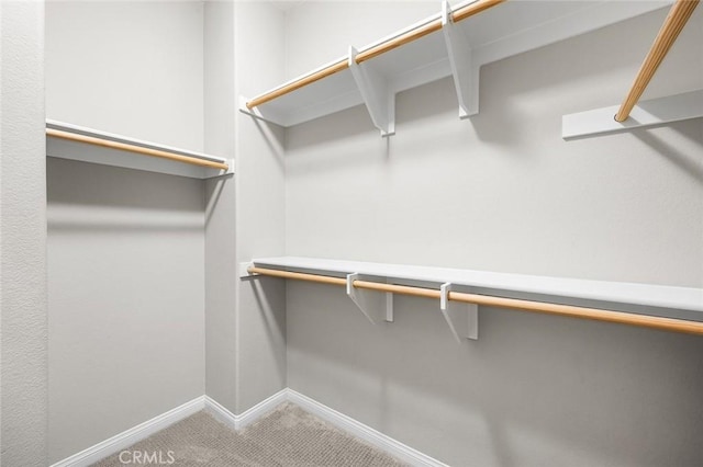 28419 Sunflower St, Highland, CA 92346 - walk in closet featuring carpet floors