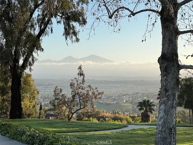 29426 Via Napoli Unit 121, Laguna Niguel, CA 92677 - view of community with a yard and a mountain view