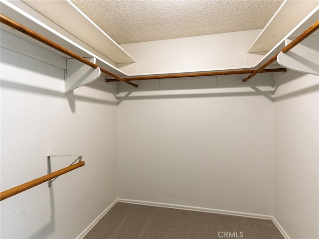 2640 Via Anacapa, Palos Verdes Estates, CA 90274 - walk in closet featuring carpet