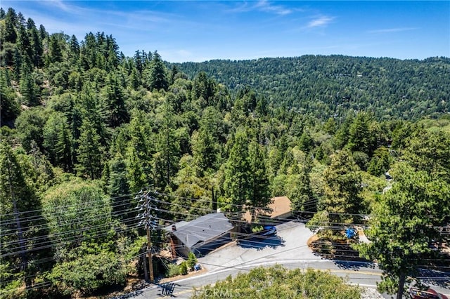 810 Arosa Dr, Crestline, CA 92325 - photo 26