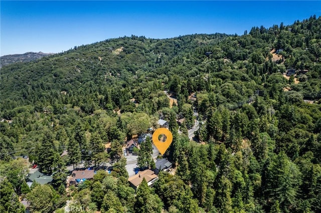 810 Arosa Dr, Crestline, CA 92325 - photo 29