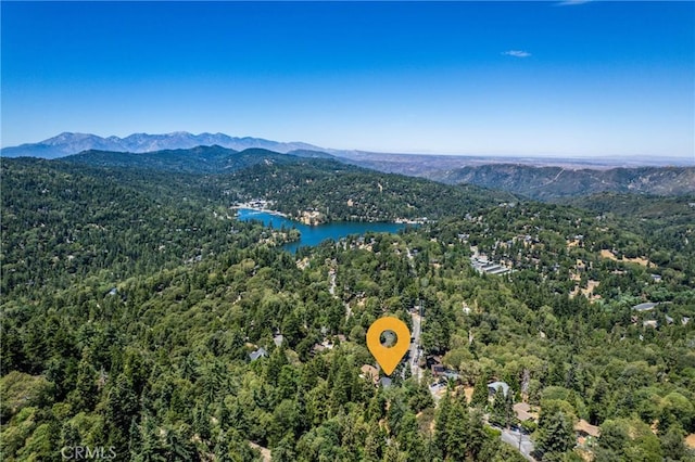 810 Arosa Dr, Crestline, CA 92325 - photo 30