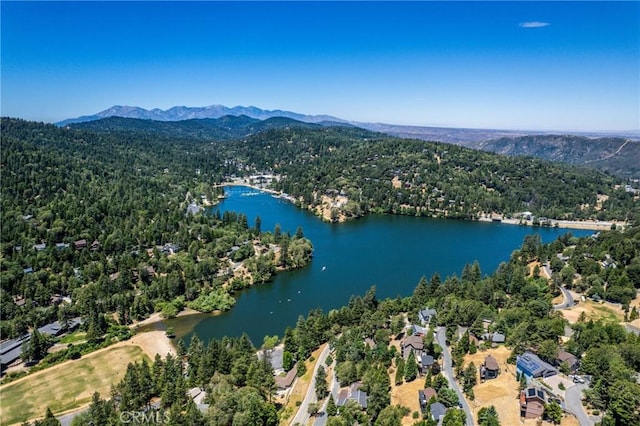 810 Arosa Dr, Crestline, CA 92325 - photo 27